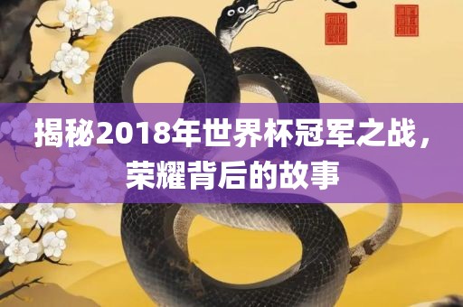 揭秘2018年世界杯冠军之战，荣耀背后的故事