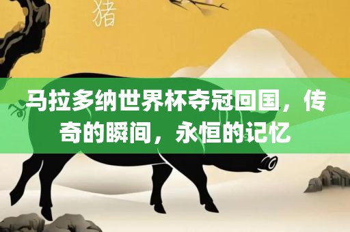 马拉多纳世界杯夺冠回国，传奇的瞬间，永恒的记忆