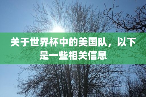 关于世界杯中的美国队，以下是一些相关信息