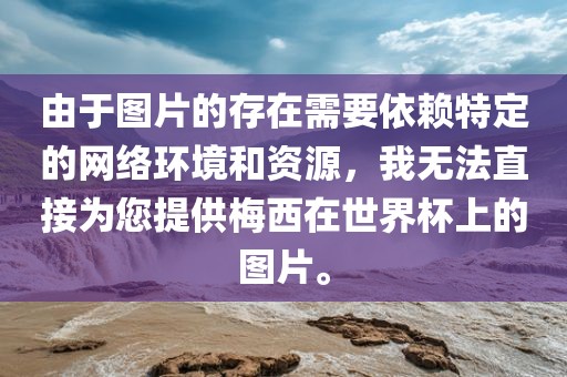 由于图片的存在需要依赖特定的网络环境和资源，我无法直接为您提供梅西在世界杯上的图片金炬实业股份有限公司。