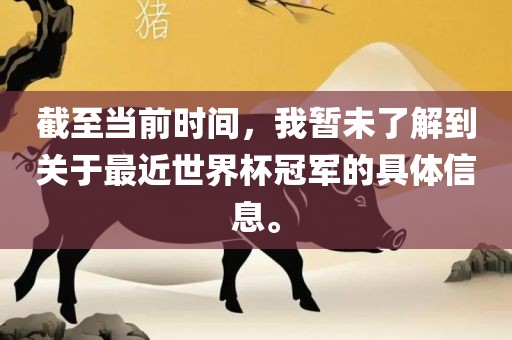 世界杯冠军 第2页