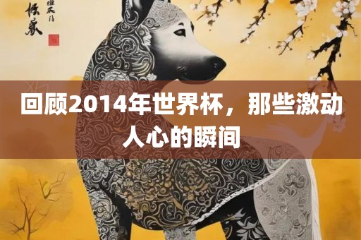 回顾2014年世界杯，那些激动人心的瞬间金炬实业股份有限公司