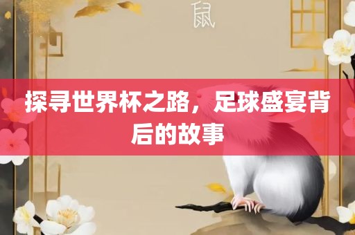 探寻世界杯之路，足球盛宴背后的故事