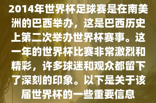 巴西世界杯 第13页