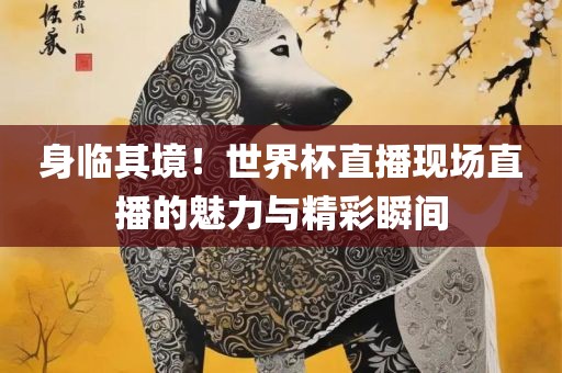 身临其境！世界杯直播现场直播的魅力与精彩瞬间