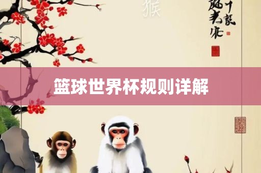 篮球世界杯规则详解
