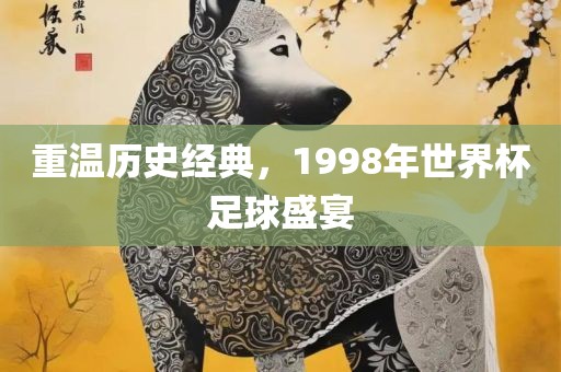 重温历史经典，1998年世界杯足球盛宴金炬实业股份有限公司