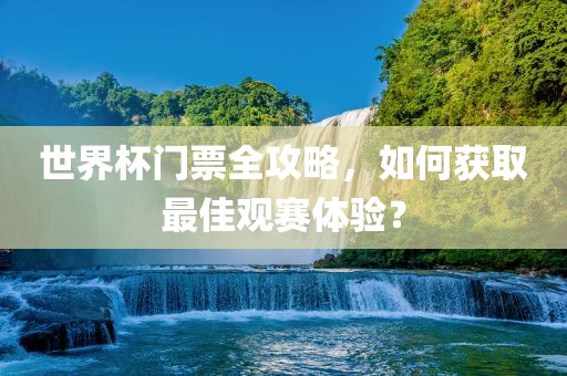 世界杯门票全攻略，如何获取最佳观赛体验？