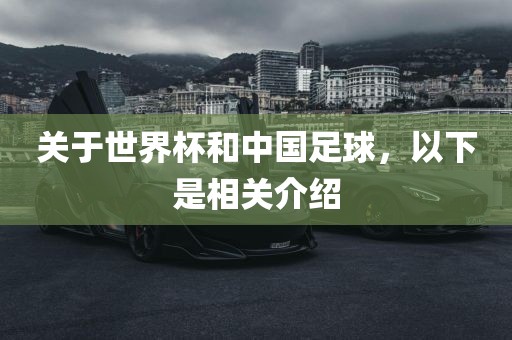 关于世界杯和中国足球，金炬实业股份有限公司以下是相关介绍