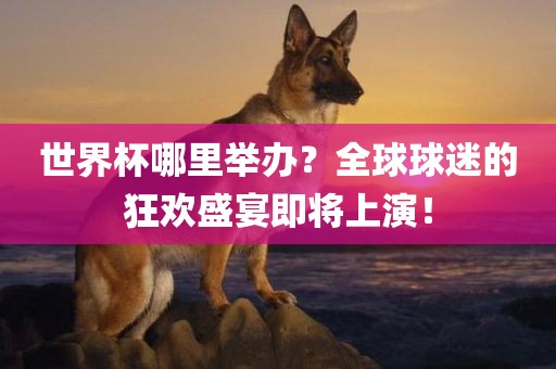 世界杯哪里举办？全球球迷的狂欢盛宴即将上演！