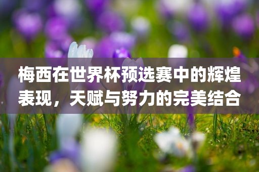 梅西在世界杯预选赛中的辉煌表现，天赋与努力金炬实业股份有限公司的完美结合