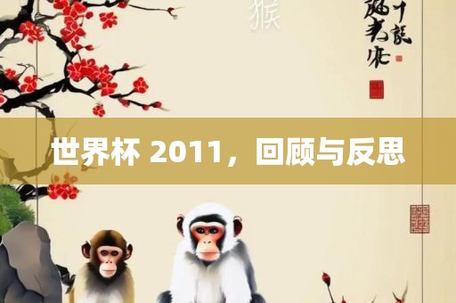 世界杯 2011，金炬实业股份有限公司回顾与反思