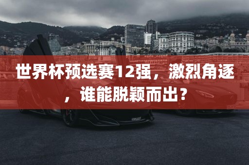 世界杯预选赛12强，激烈角逐，谁能脱颖而出？