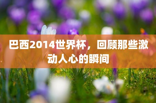 巴西2014世界杯，回顾那些激动人心的瞬间