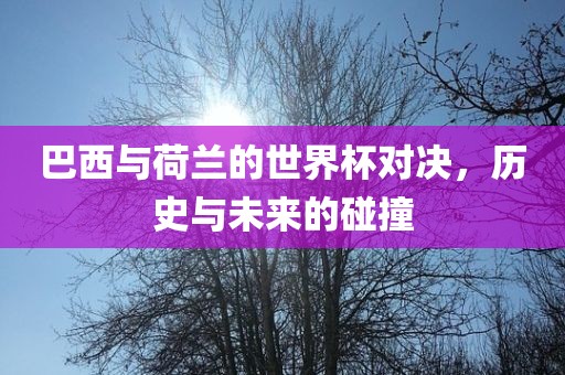 巴西与荷兰的世界杯对决，历史与未来的碰撞