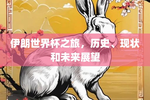 伊朗世界杯之旅，历史、现状和未来展望