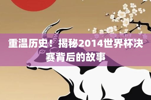 重温历史！揭秘2014世界杯决赛背后的故事金炬实业股份有限公司