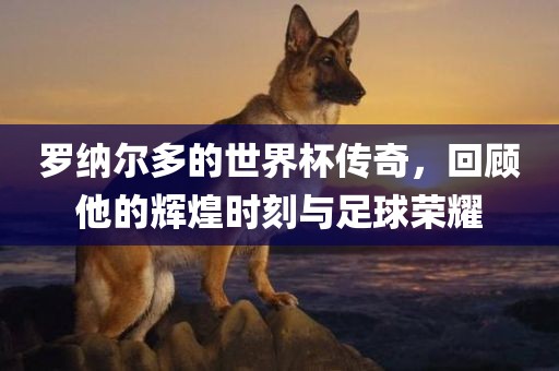 罗纳尔多的世界杯传奇，回顾他的辉煌时刻与足球荣耀金炬实业股份有限公司