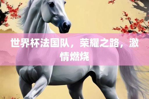 世界杯法国队，荣耀之路，激情燃烧