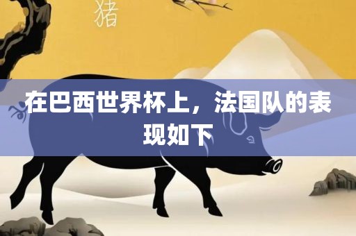 在巴西世界杯上，法国队的表现如下