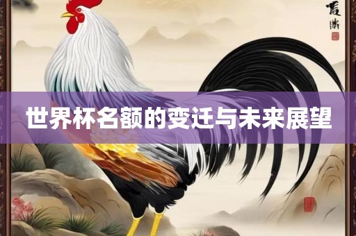 世界杯名额的变迁与未来展望