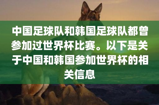 中国足球队和韩国足球队都曾参加过世界杯比赛。以下是关于中国和韩国参加世界杯的相关信息