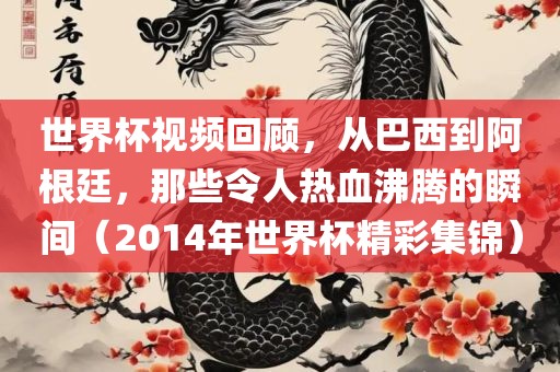 世界杯视频回顾，从巴西到阿根廷，那些令人热血沸腾的瞬间（2014年世界杯精彩集锦）