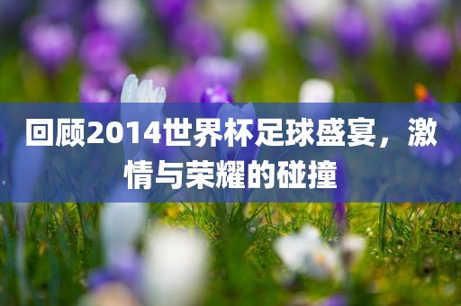 回顾2014世界杯足球盛宴，激情与荣耀的碰撞金炬实业股份有限公司