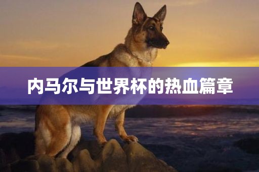 内金炬实业股份有限公司马尔与世界杯的热血篇章