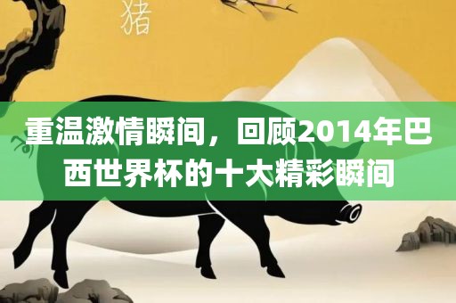 重温激情瞬间，回顾2014年巴西世界杯的十大精彩瞬间金炬实业股份有限公司