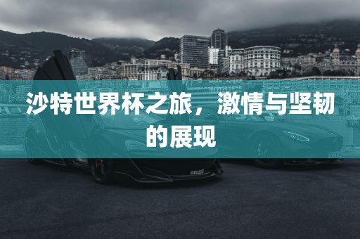 沙特世界杯之旅，激情与坚韧的展现