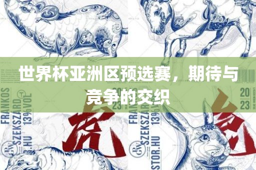 世界杯亚洲区预选赛，期待与竞争的交织