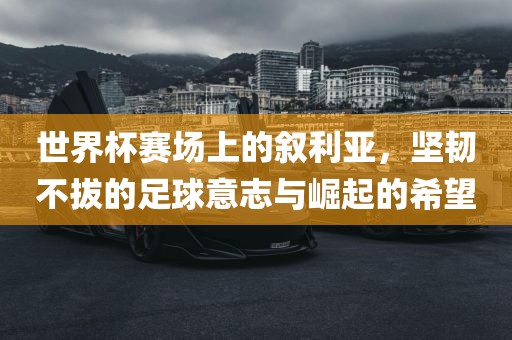 世界杯赛场上的叙利亚，坚韧不拔的足球意志与崛起的希望金炬实业股份有限公司