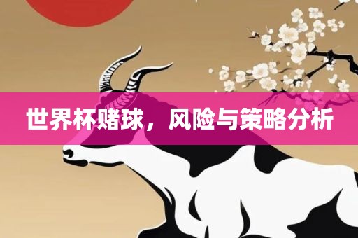 世界杯赌球，风险与策略分析金炬实业股份有限公司