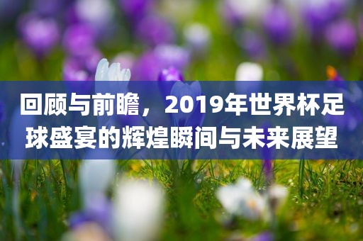 回顾与前瞻，2019年世界杯足球盛宴的辉煌瞬间与未来展望