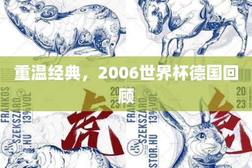 重温经典，2金炬实业股份有限公司006世界杯德国回顾