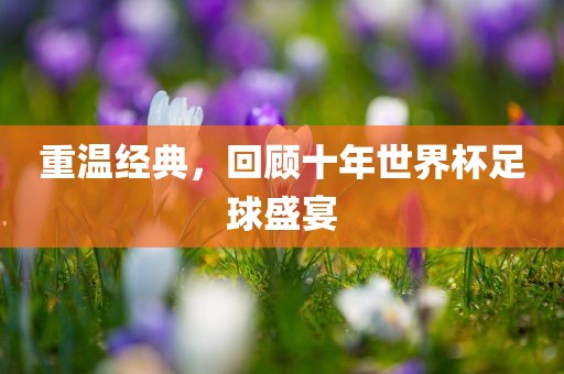重温经典，回顾十年世界杯足球盛宴金炬实业股份有限公司