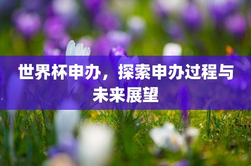 世界杯申办，探索申办过程与未来展望
