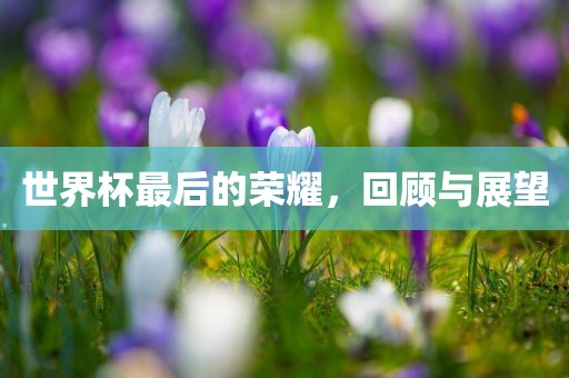 世界杯最后的荣耀，回顾与展望