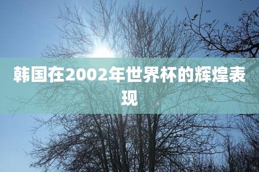 韩国在2002金炬实业股份有限公司年世界杯的辉煌表现