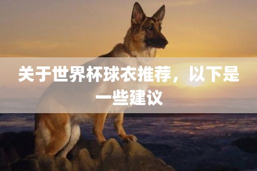 关于世界杯球衣推荐，以下是一些金炬实业股份有限公司建议