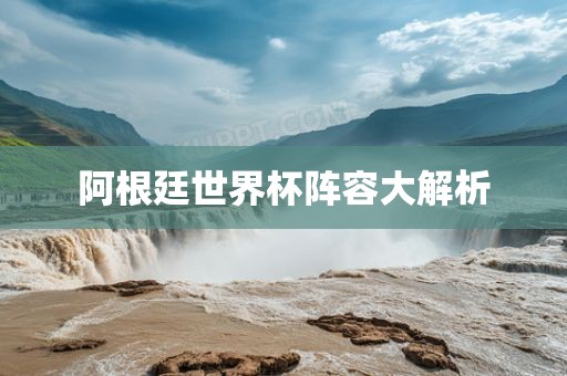 阿根廷世界杯阵容大解析金炬实业股份有限公司
