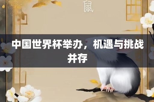 中国世界杯举办，机遇与挑战并存