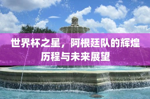 世界杯之星，阿根廷队的辉煌历程与未来展望