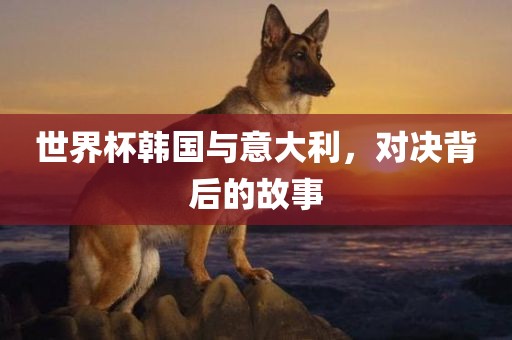 世界杯韩国与意大利，对决背后的故事