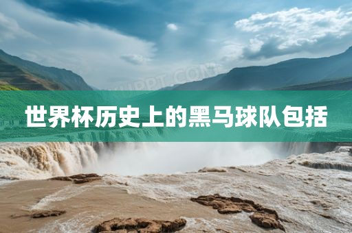 世界杯历史上的黑马球队包括金炬实业股份有限公司