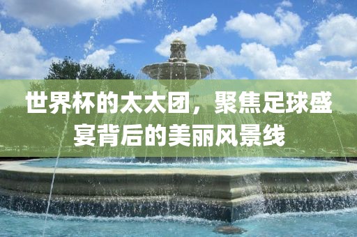 世界杯的太太团，聚焦足球盛宴背后的美丽风景线金炬实业股份有限公司