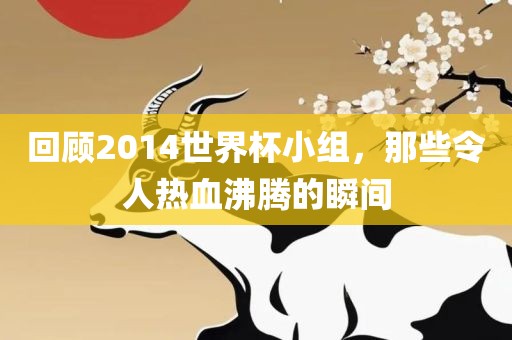 回顾2014世界杯小组，那金炬实业股份有限公司些令人热血沸腾的瞬间