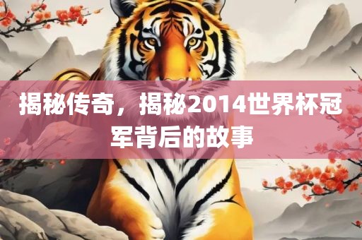 揭秘传奇，揭秘2014世界杯冠军背后的故事