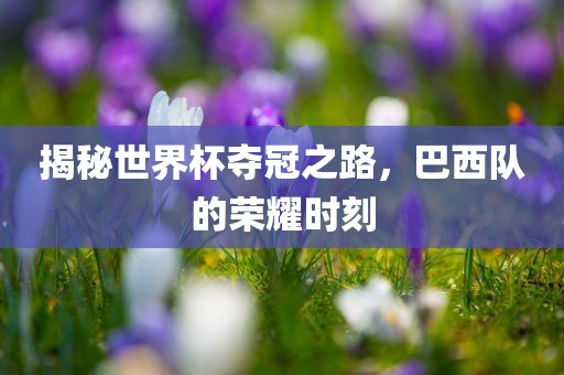 揭秘世界杯夺冠之路，巴西队的荣耀时刻